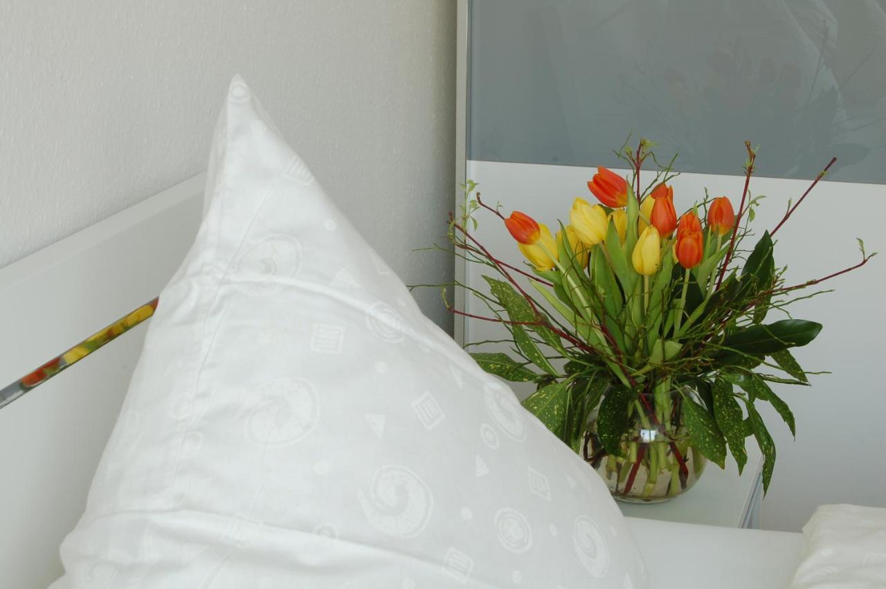 Ferienwohnungen Der Loewen Hagnau am Bodensee Extérieur photo