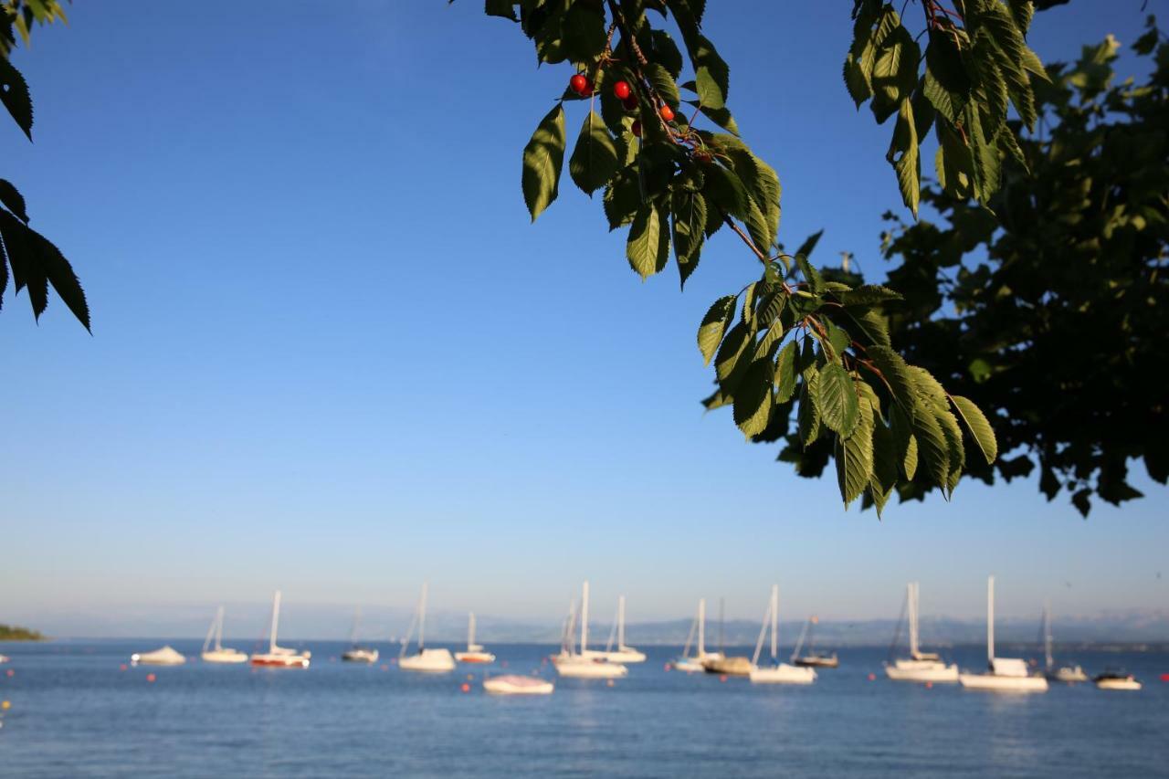 Ferienwohnungen Der Loewen Hagnau am Bodensee Extérieur photo